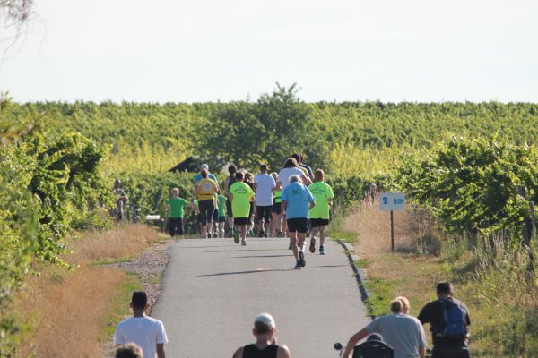 2018-rieslinglauf-galerie-07476E37D5-B177-9102-C181-A93223F2E511.jpg