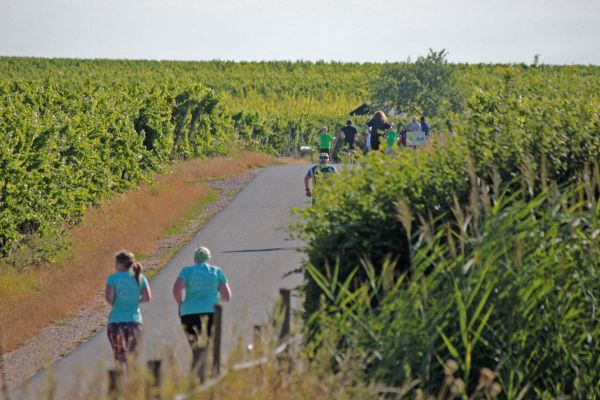2018-rieslinglauf-galerie-08A17DACA4-B4E5-478E-77AE-297C356F685D.jpg